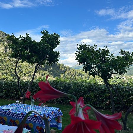 Hotel Villa Edis Berat Buitenkant foto