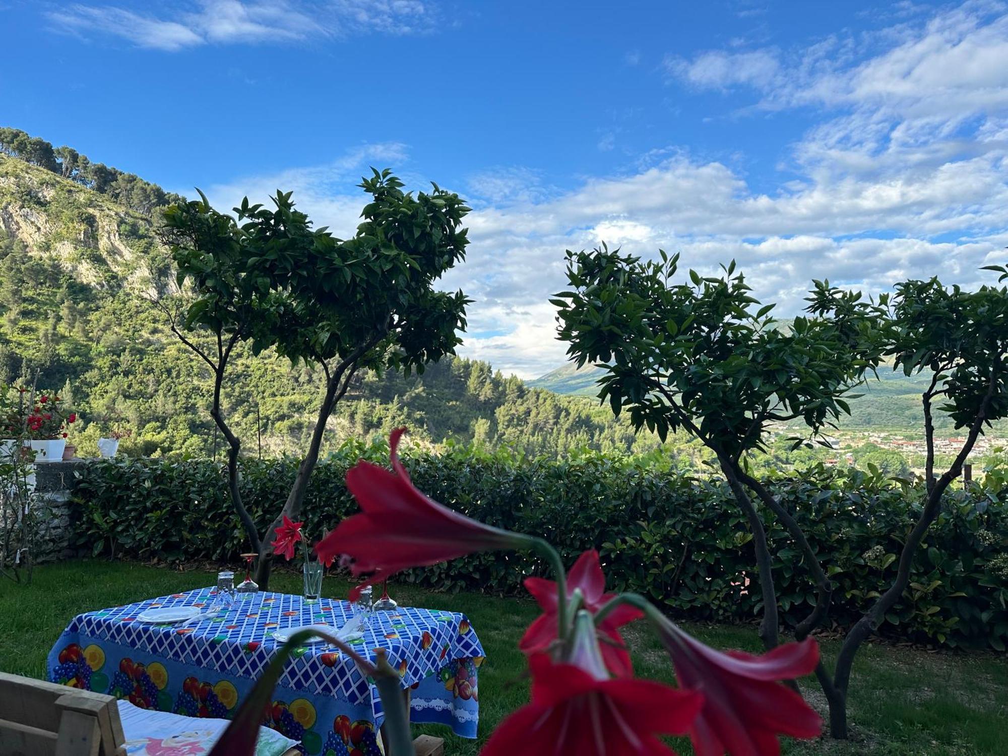 Hotel Villa Edis Berat Buitenkant foto